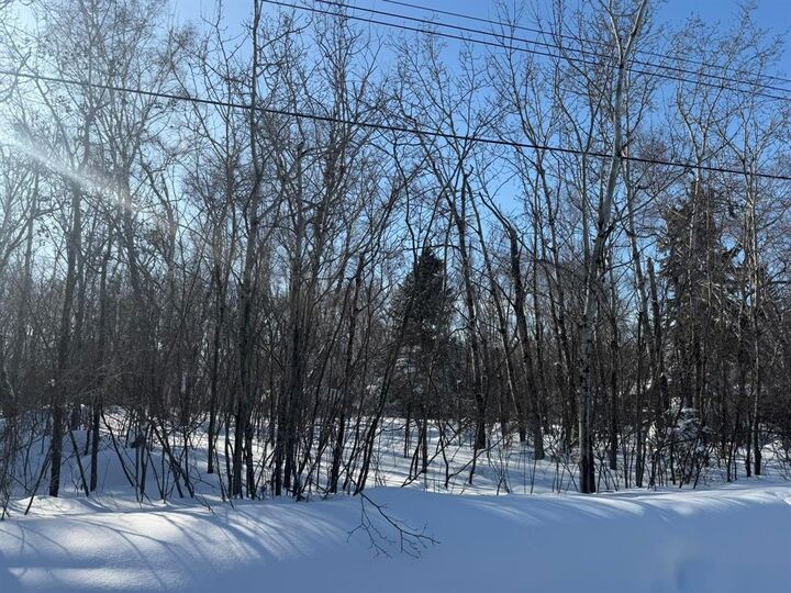 Property Photo:  87 Lakeview Drive  MB R0R 0E0 