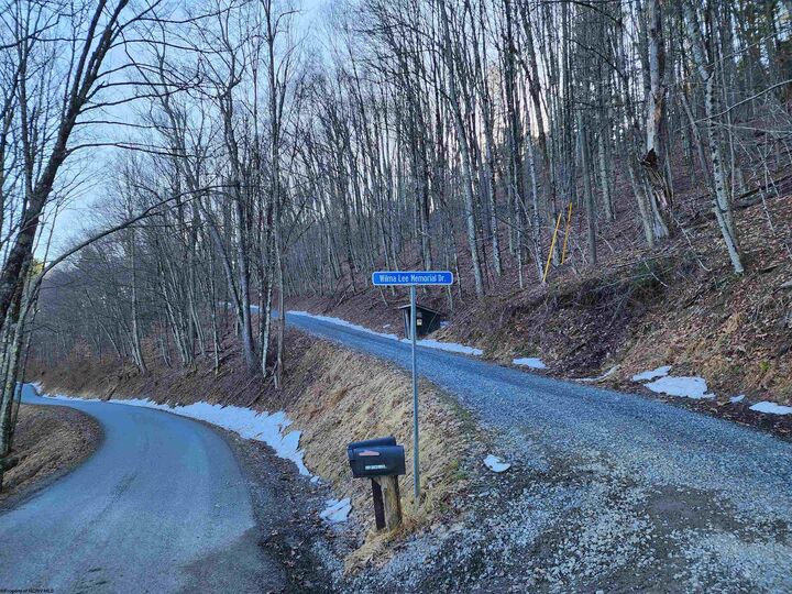 Property Photo: 169 Wilma Lee Memorial Drive WV 26254