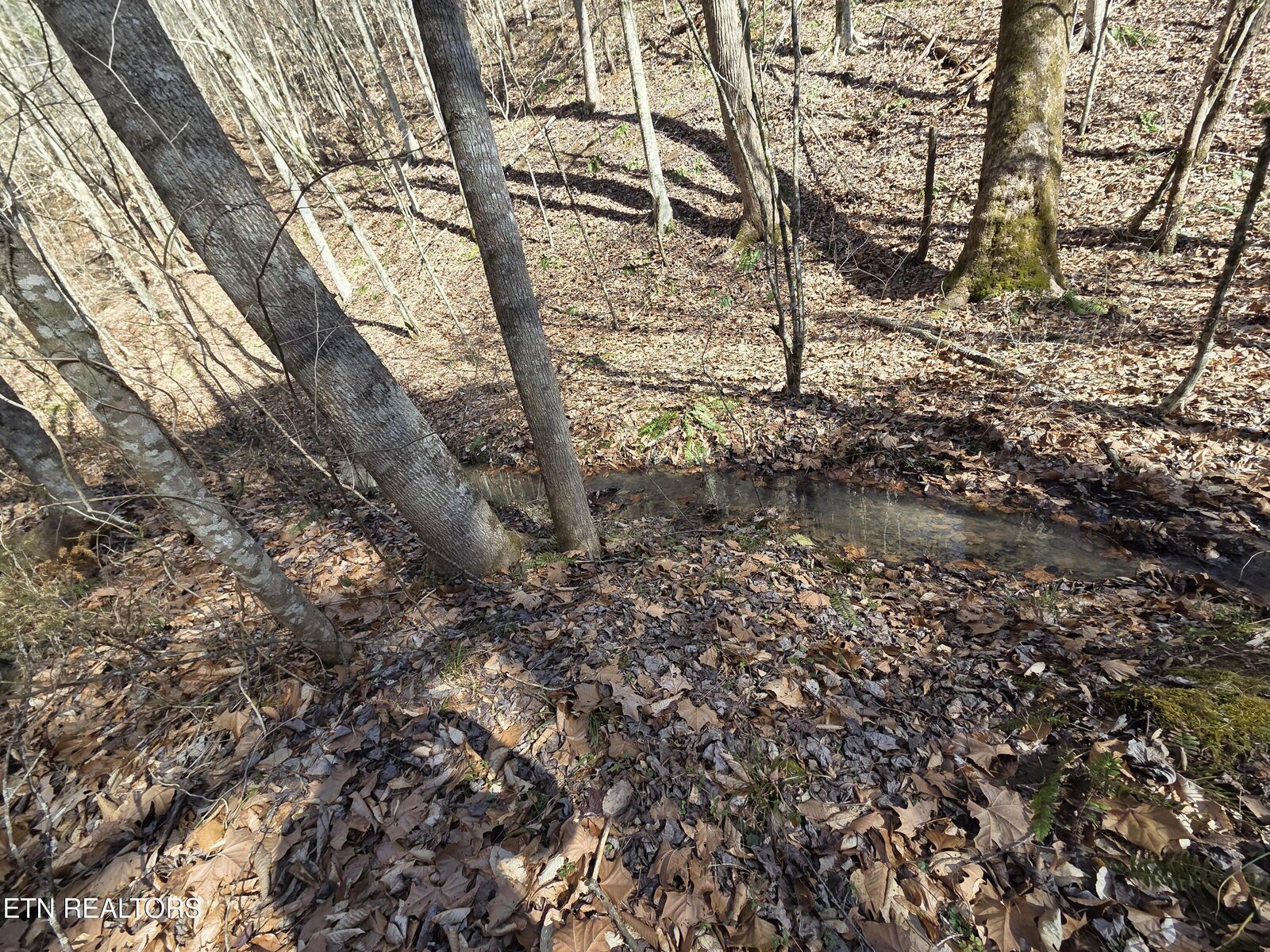 Property Photo: Baysinger Rd TN 37821