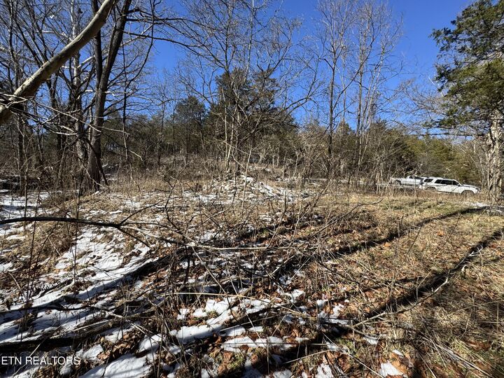 Property Photo:  Tn-131  TN 37881 