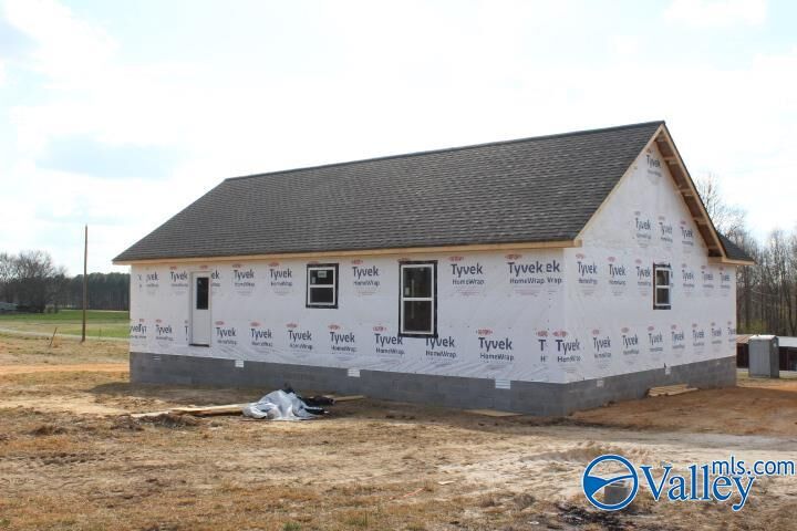 Property Photo:  368 County Road 244  AL 35968 