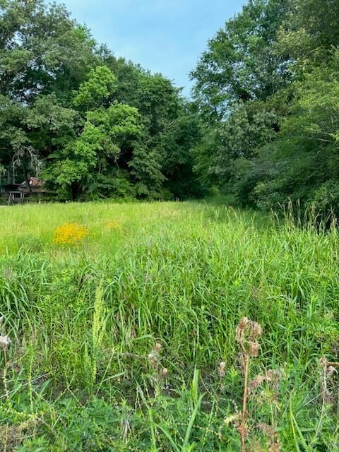 Property Photo: 1508 Southwood Drive TX 75901