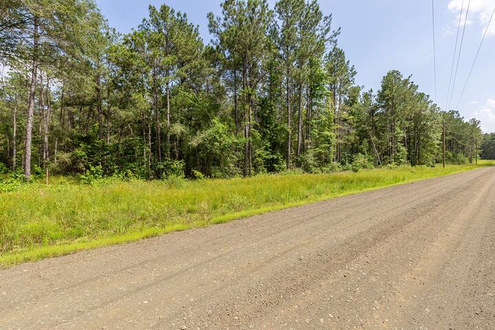 Property Photo:  Lot 29 &Amp Lot 30 Eagles Nest  TX 75929 