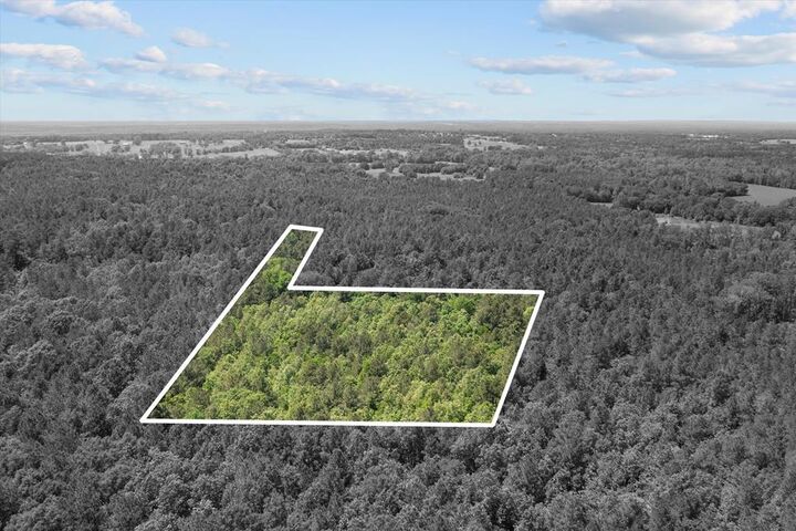 Property Photo: 3994 County Road 774 TX 75943