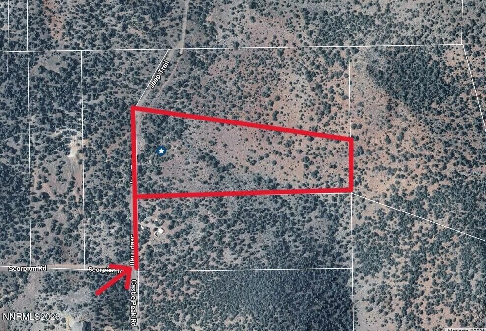 Property Photo: 2150 Castle Peak Road NV 89521