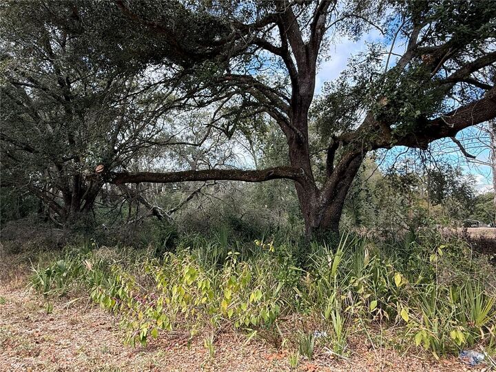 Property Photo:  0 Hilda Rd  FL 33523 