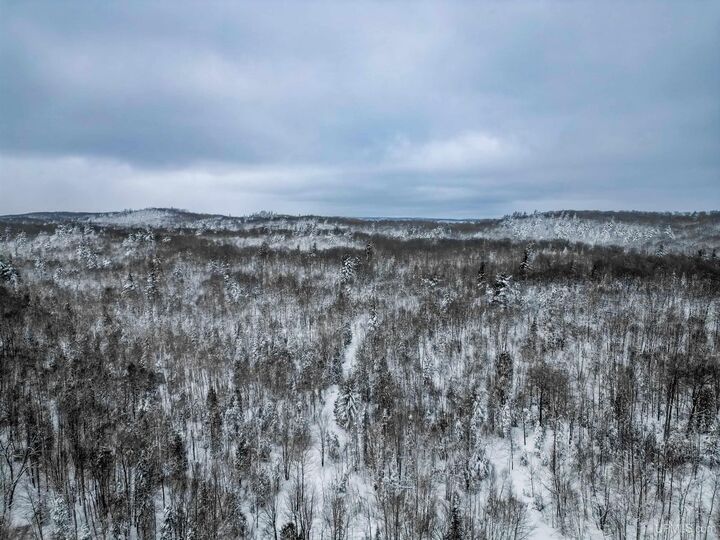 Property Photo:  Tbd E Wilderness Road  MI 49866 