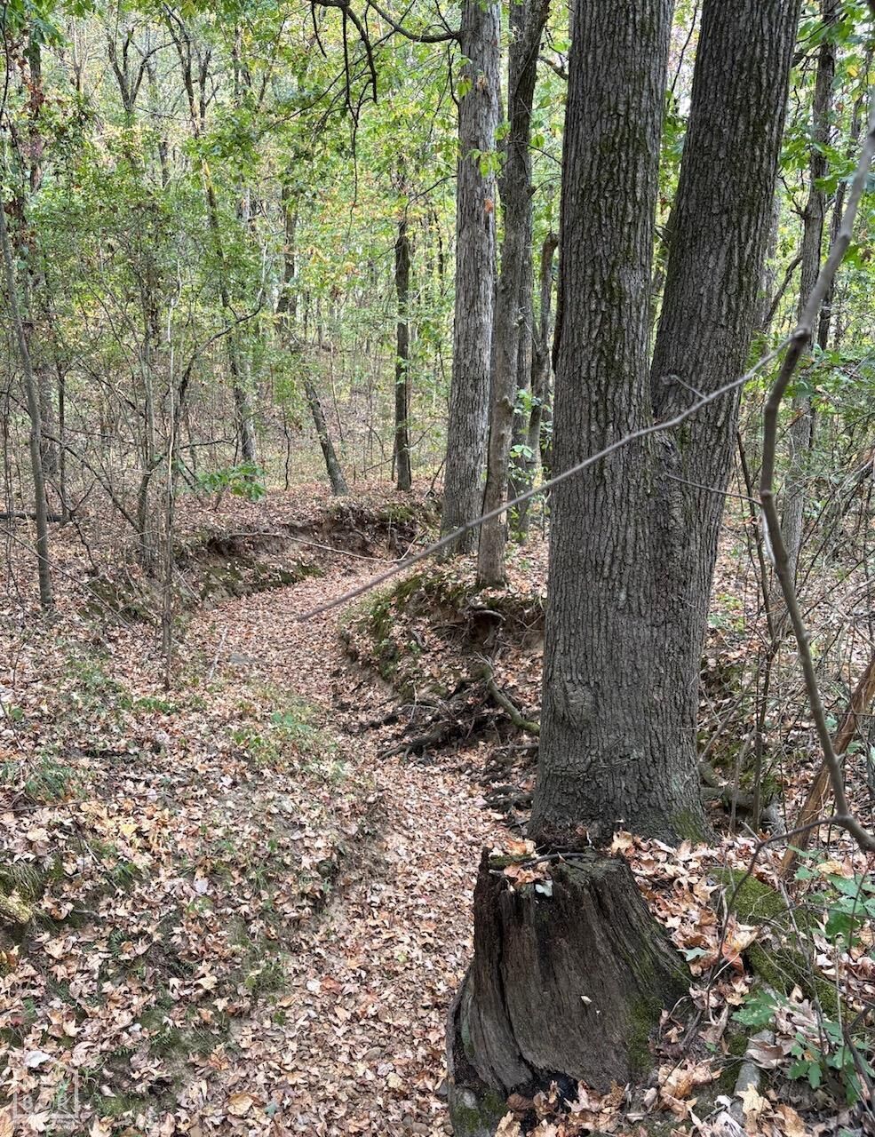 Property Photo: 3 Acres County Road 389 AR 72416