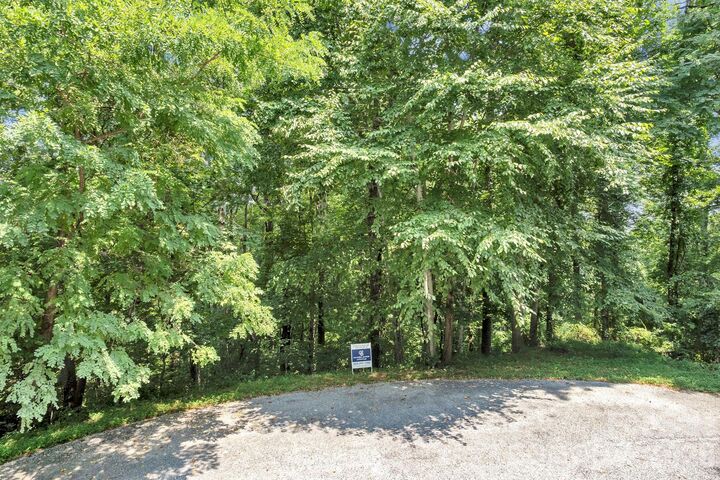 Property Photo:  85 Shinnecock Drive 7  NC 28759 