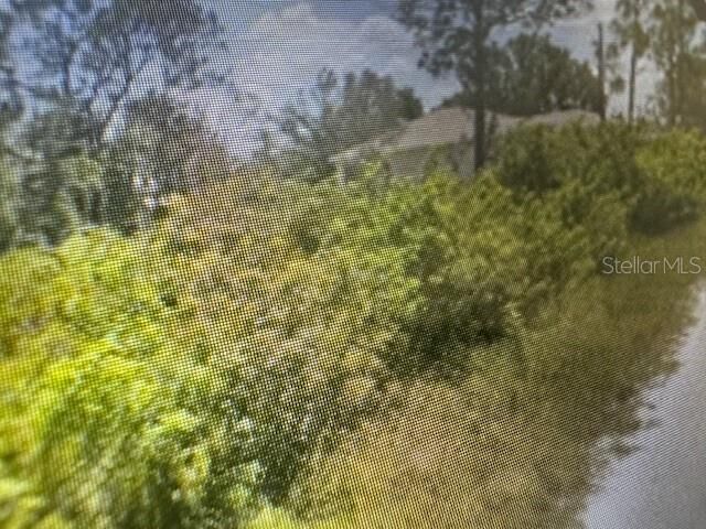 Property Photo: 6340 Grove Boulevard FL 33982