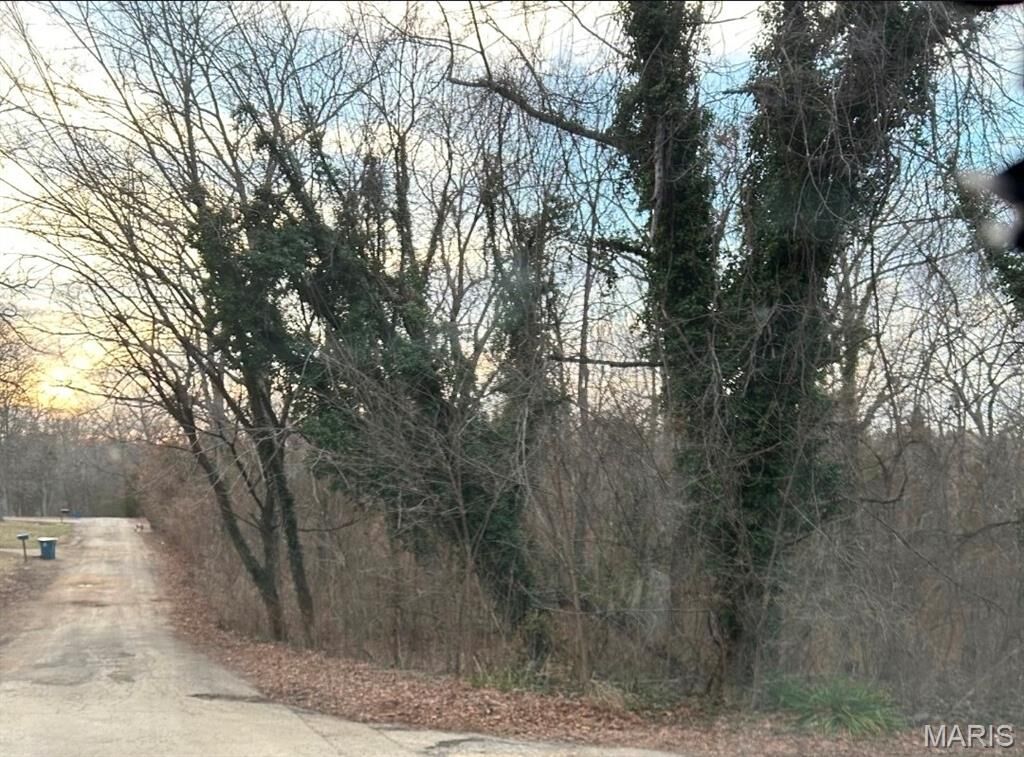 Property Photo: 0 Pawnee MO 63648