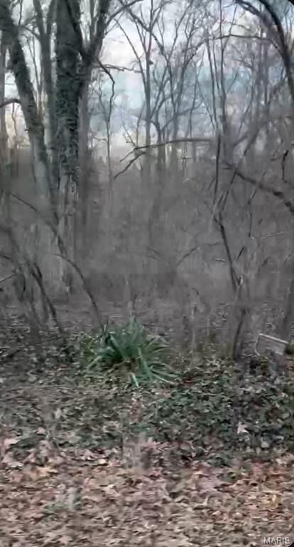 Property Photo: 308 Pawnee MO 63648