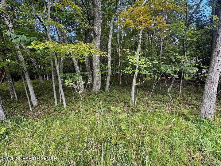 Property Photo: Lot # 14ht Bear Lane PA 18229
