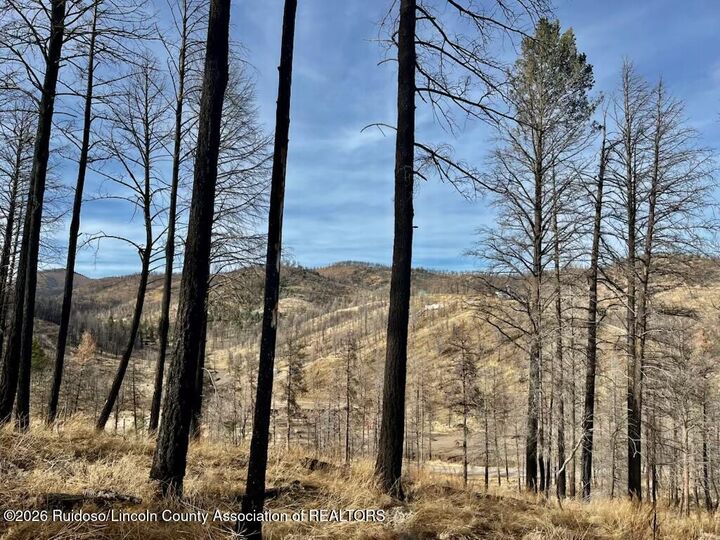 Property Photo:  116 Bluebelle Lane  NM 88345 