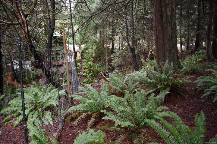 Property Photo:  201 Grantville St  BC V8K 1P1 