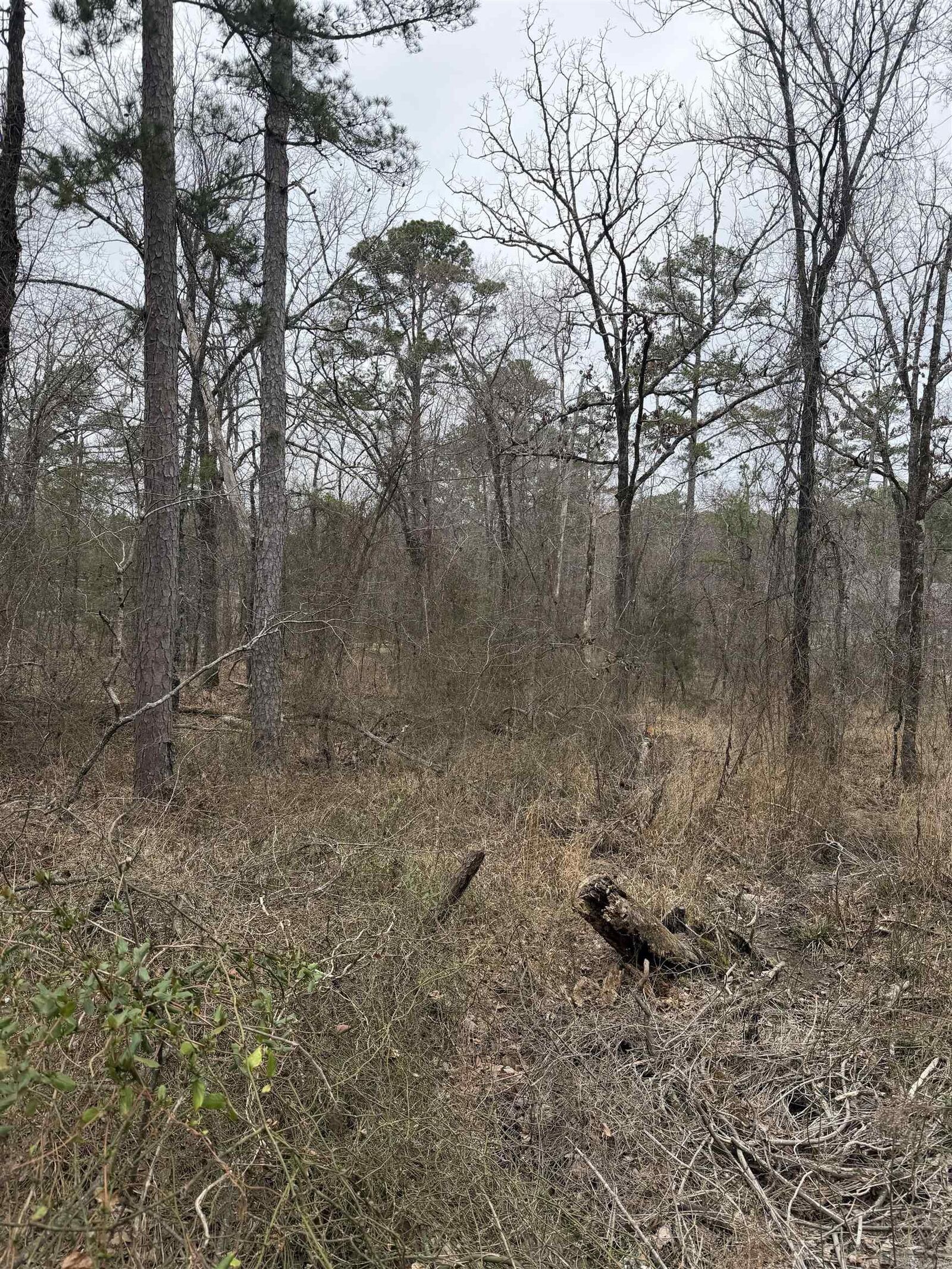 Property Photo:  Tbd San Juan Way  AR 71909 