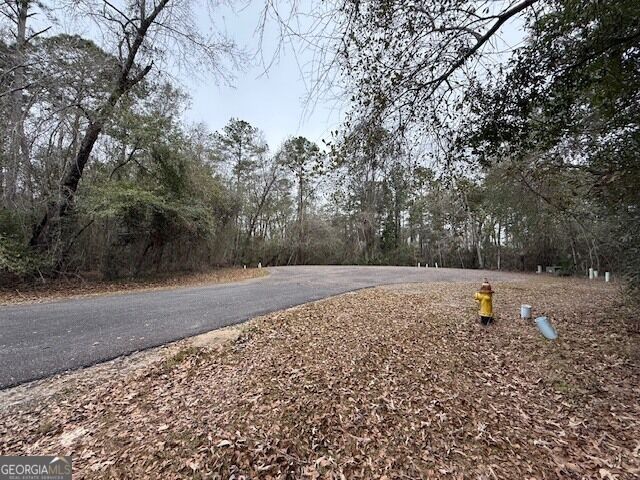 Property Photo: V/L 40 Satilla River Landing GA 31569