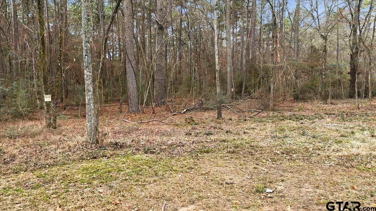 Property Photo:  12174 S Cr 3153  TX 75681 