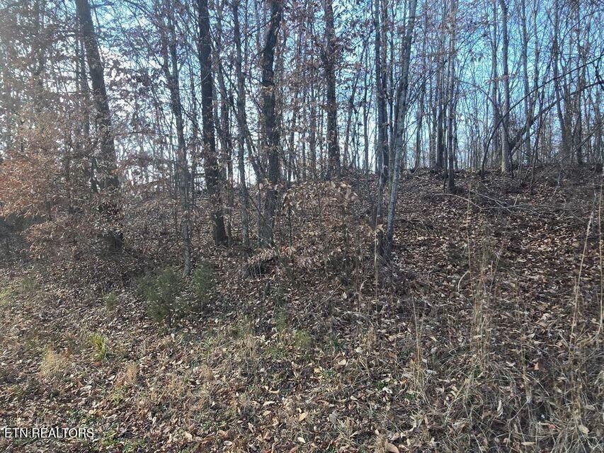 Property Photo: Lot 15 River Rd TN 37322
