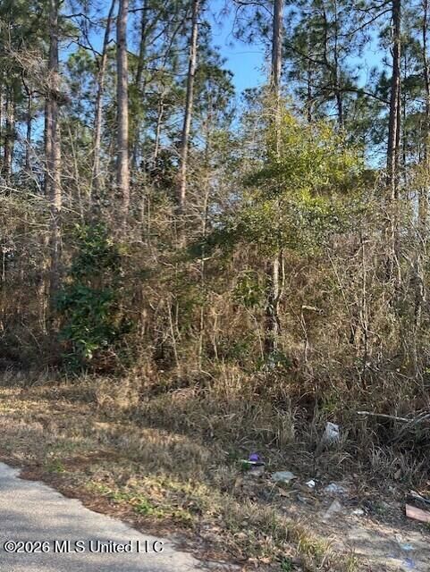 Property Photo:  Petunia Road  MS 39553 