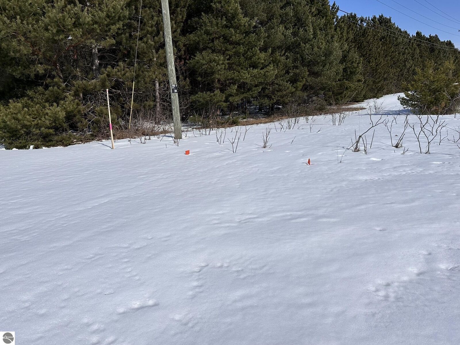 Property Photo:  Honor Highway  MI 49643 