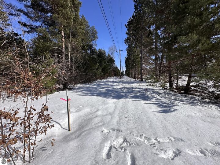 Property Photo:  Honor Highway  MI 49643 