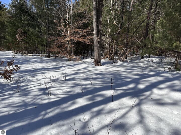 Property Photo:  Honor Highway  MI 49643 