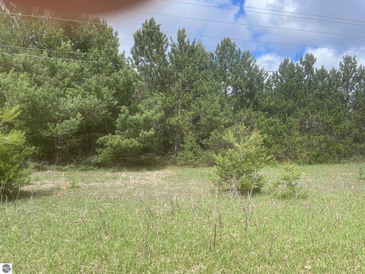 Property Photo:  Honor Highway  MI 49643 