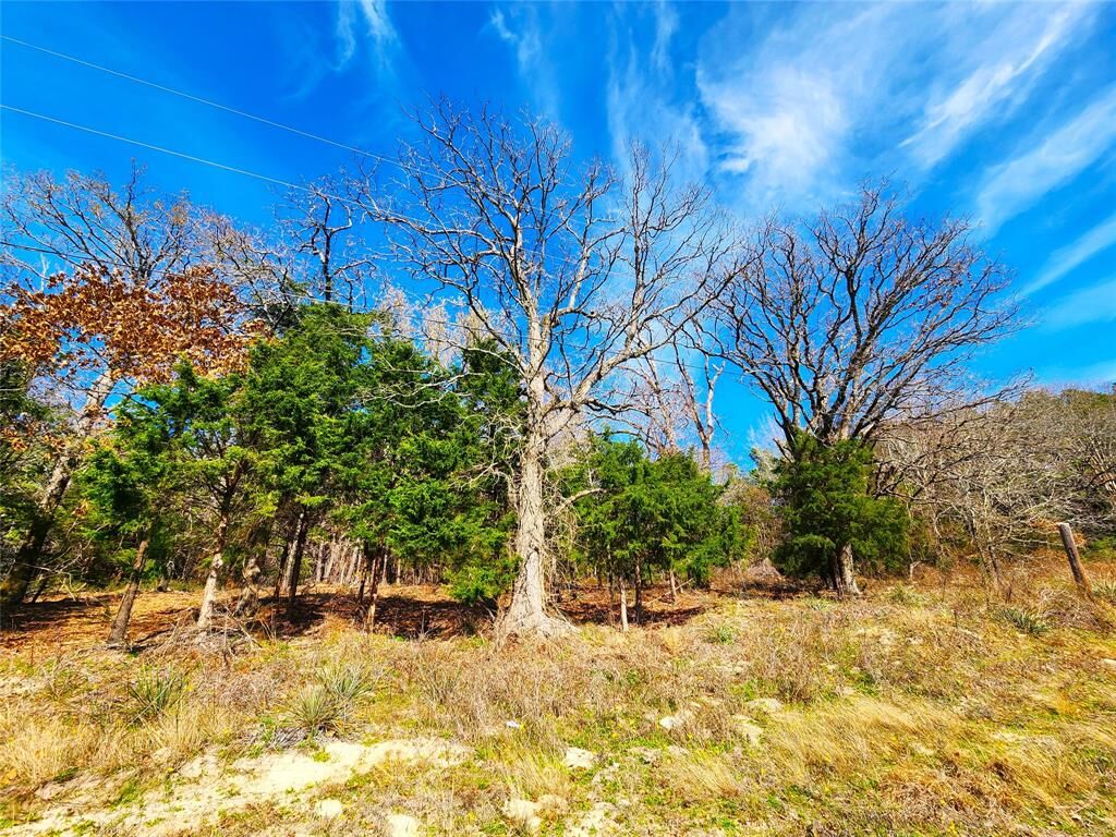 Property Photo: Lot 463 US-175 TX 75770