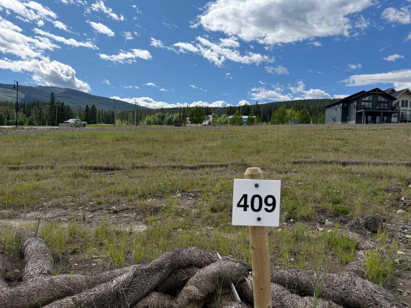 Property Photo: 409 Lily Avenue AB T0M 2H0