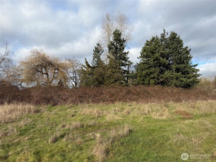 Property Photo: 915 90th St E WA 98445