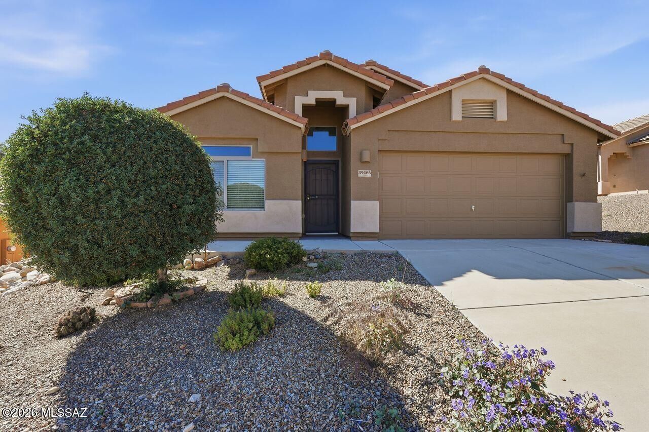 Property Photo:  39466 S Diamond Bay Drive  AZ 85739 