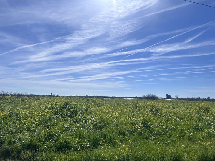 Property Photo: 0 SE Avenue 88 Avenue SE CA 93270