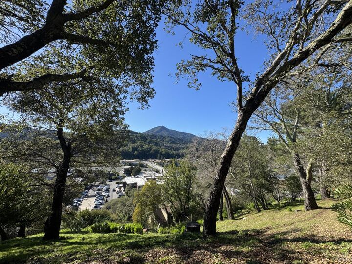 Property Photo:  823 Via Casitas  CA 94904 