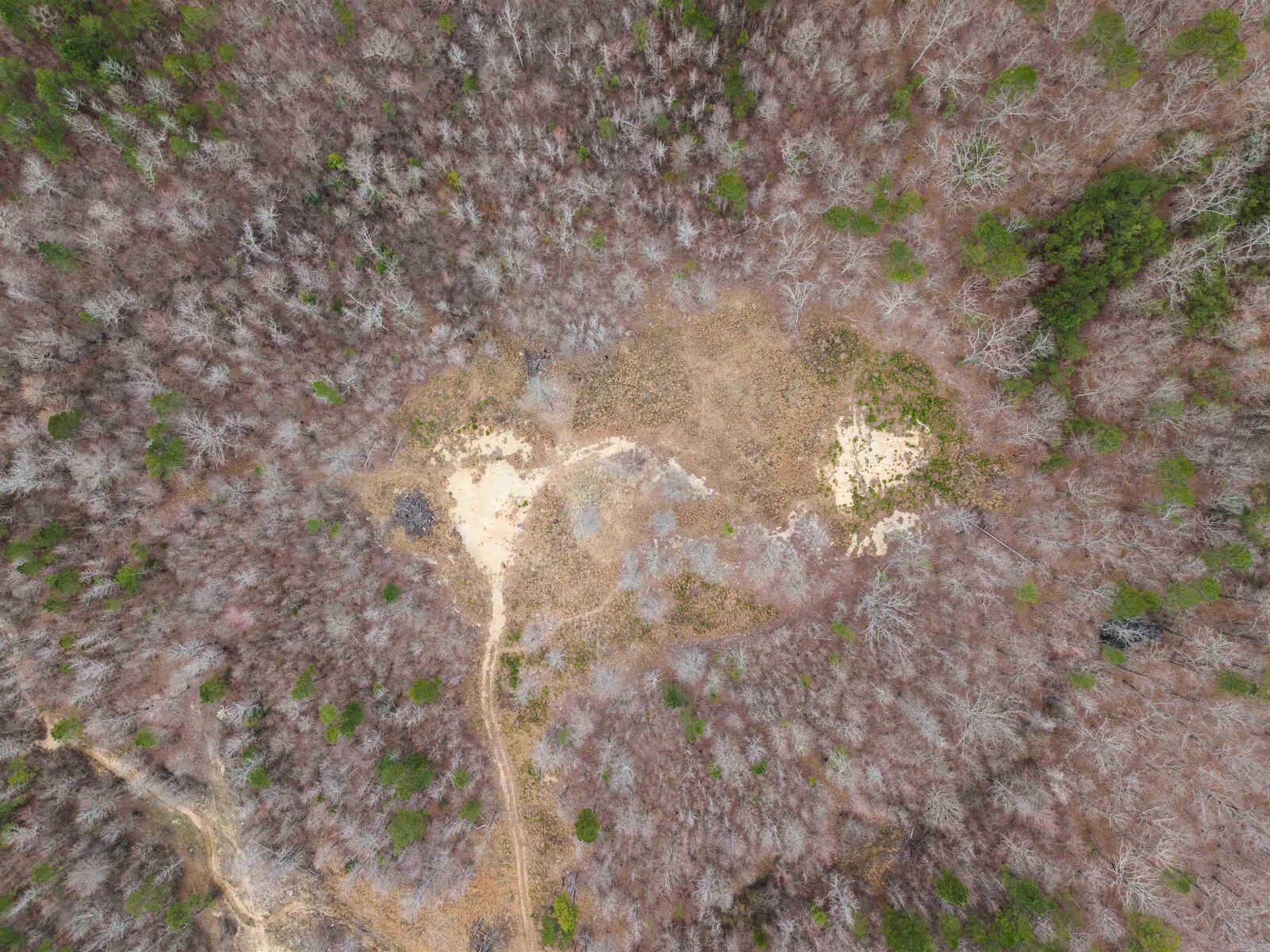 Property Photo:  000 Reed Road  AR 72002 