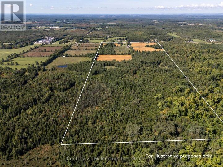 Photo de la propriété:  315421 Highway 6 Highway  ON N0H 2V0 