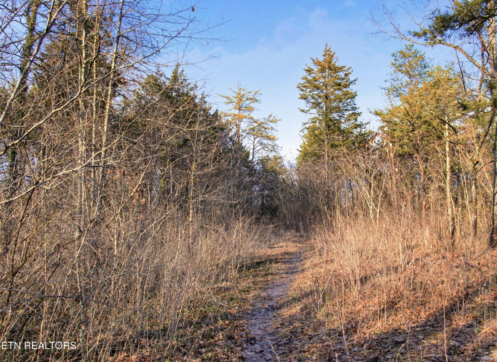 Property Photo: 734 Hialeah Drive TN 37920