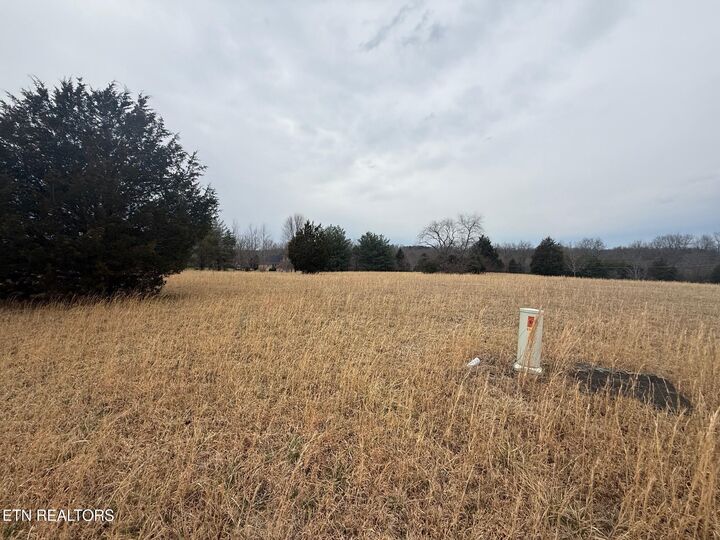 Property Photo:  Maple Point Lane - Lot 10  TN 38555 