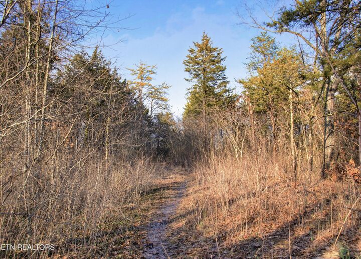 Property Photo: 740 & 742 Hialeah Drive TN 37920