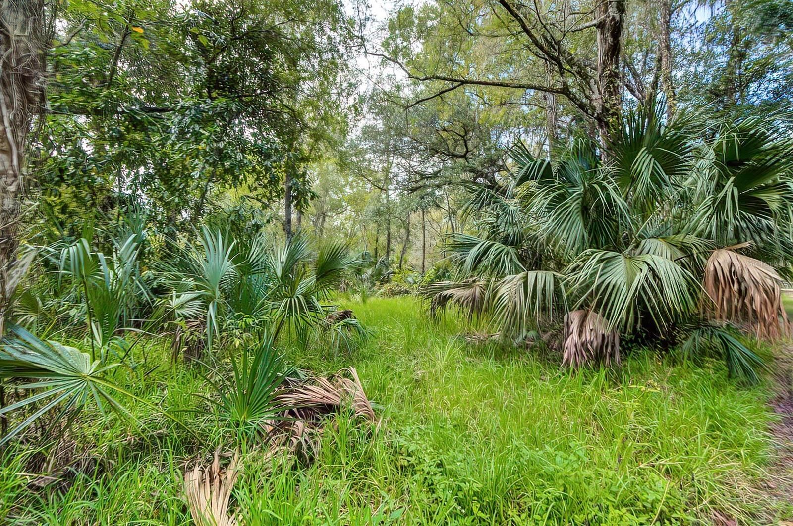 Property Photo:  14902 Dead River Road  FL 33592 