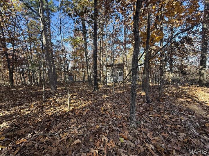 Property Photo: 0 Madison 325 MO 63645