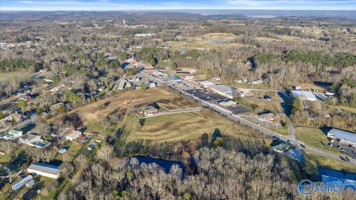 Property Photo:  11.97+/- Acres Main Street  AL 35747 