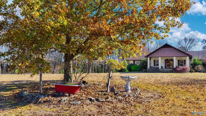 Property Photo:  34953 Alabama Highway 75  AL 35971 