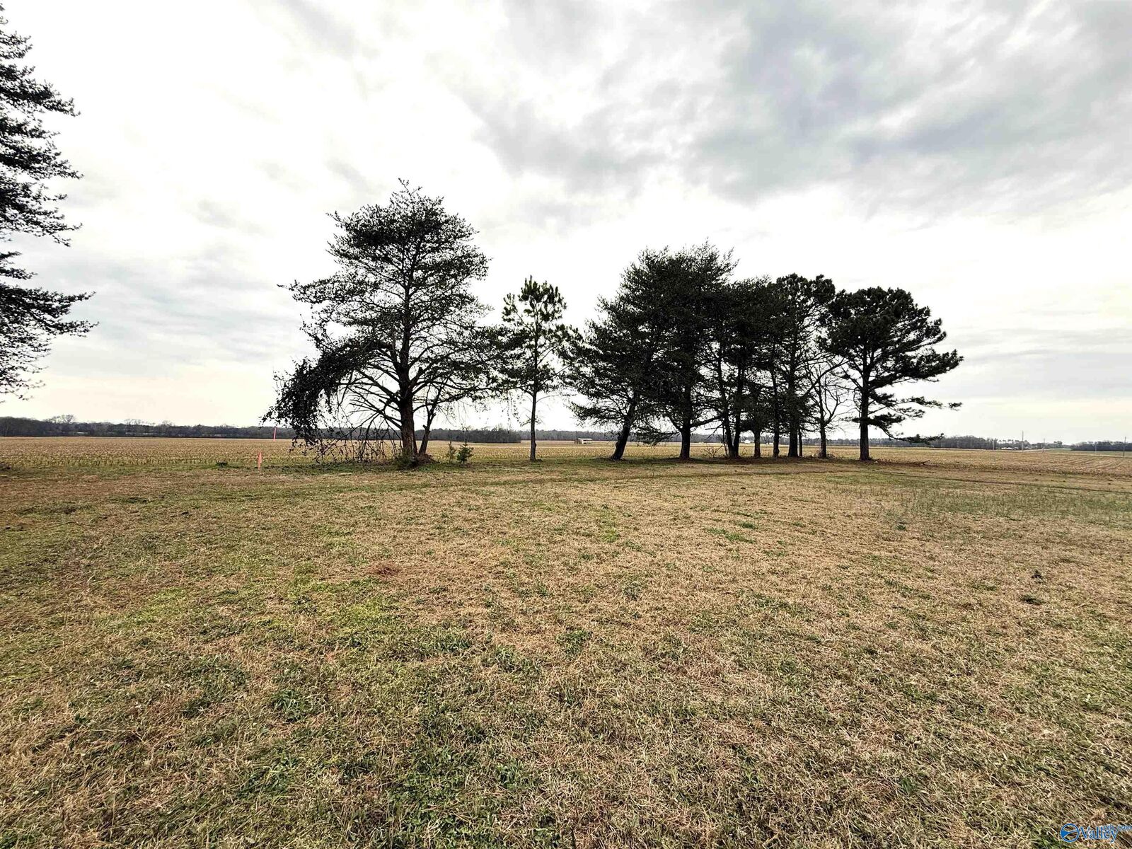 Property Photo: .60 Acres Narrow Lane AL 35761