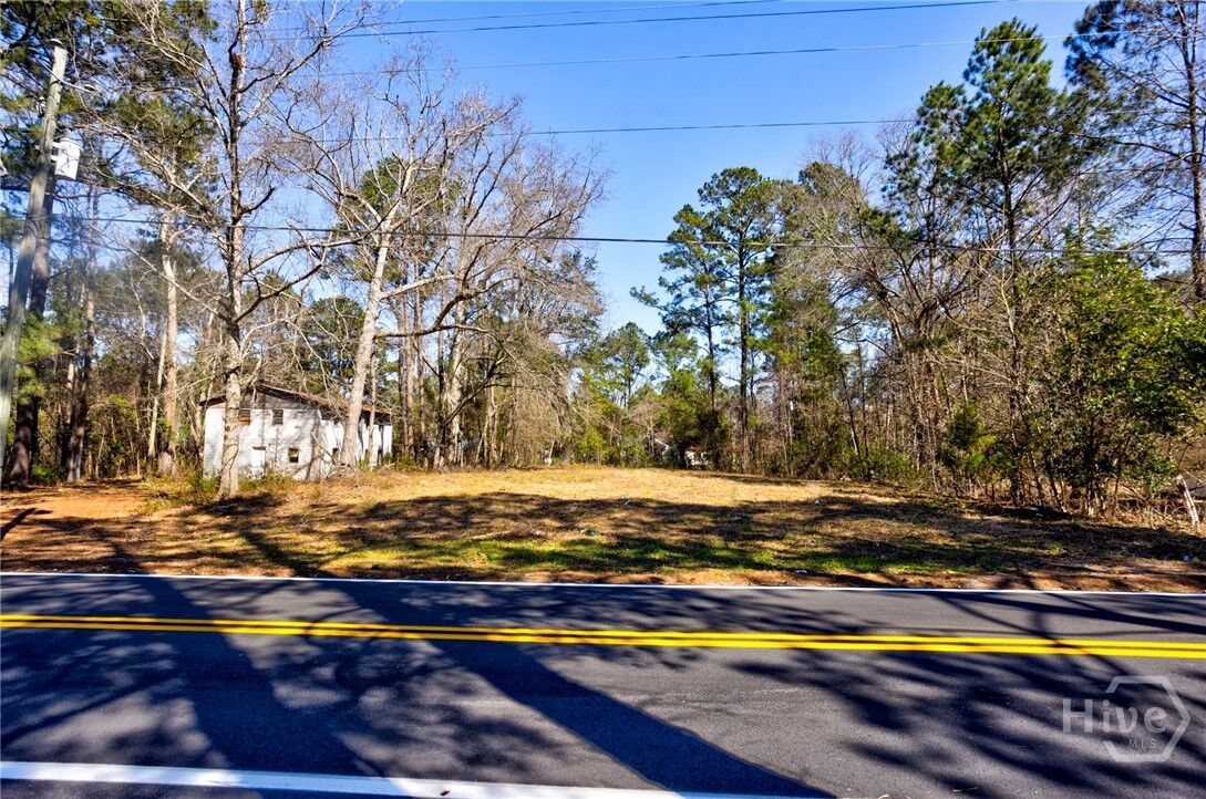 Property Photo: 0 Magnolia Street GA 31312