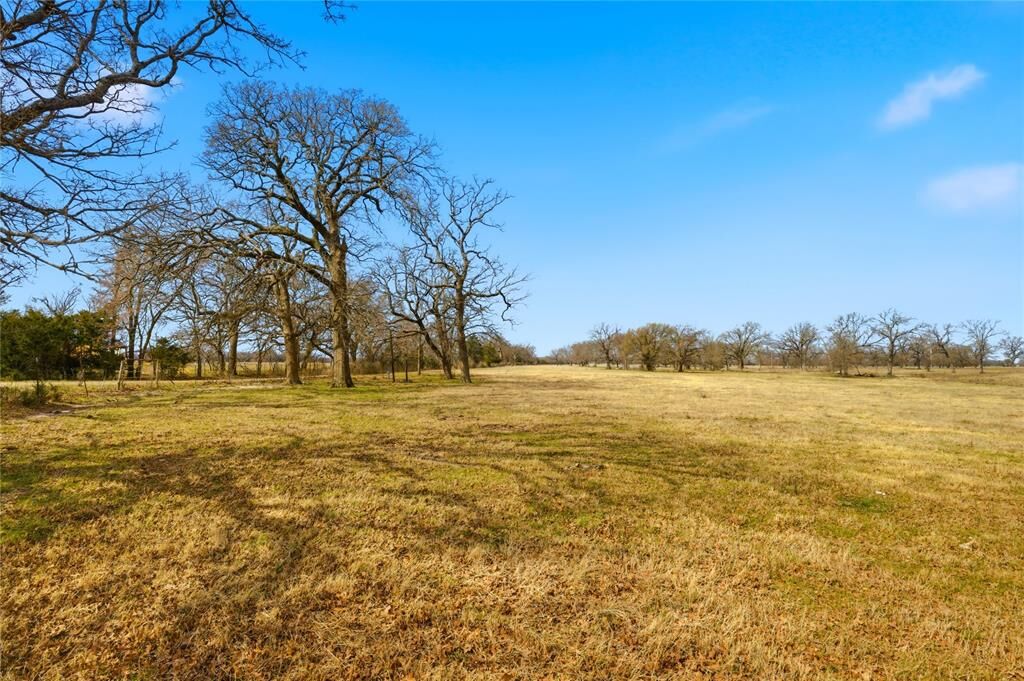 Property Photo:  Tbd Fm 1531  TX 75448 