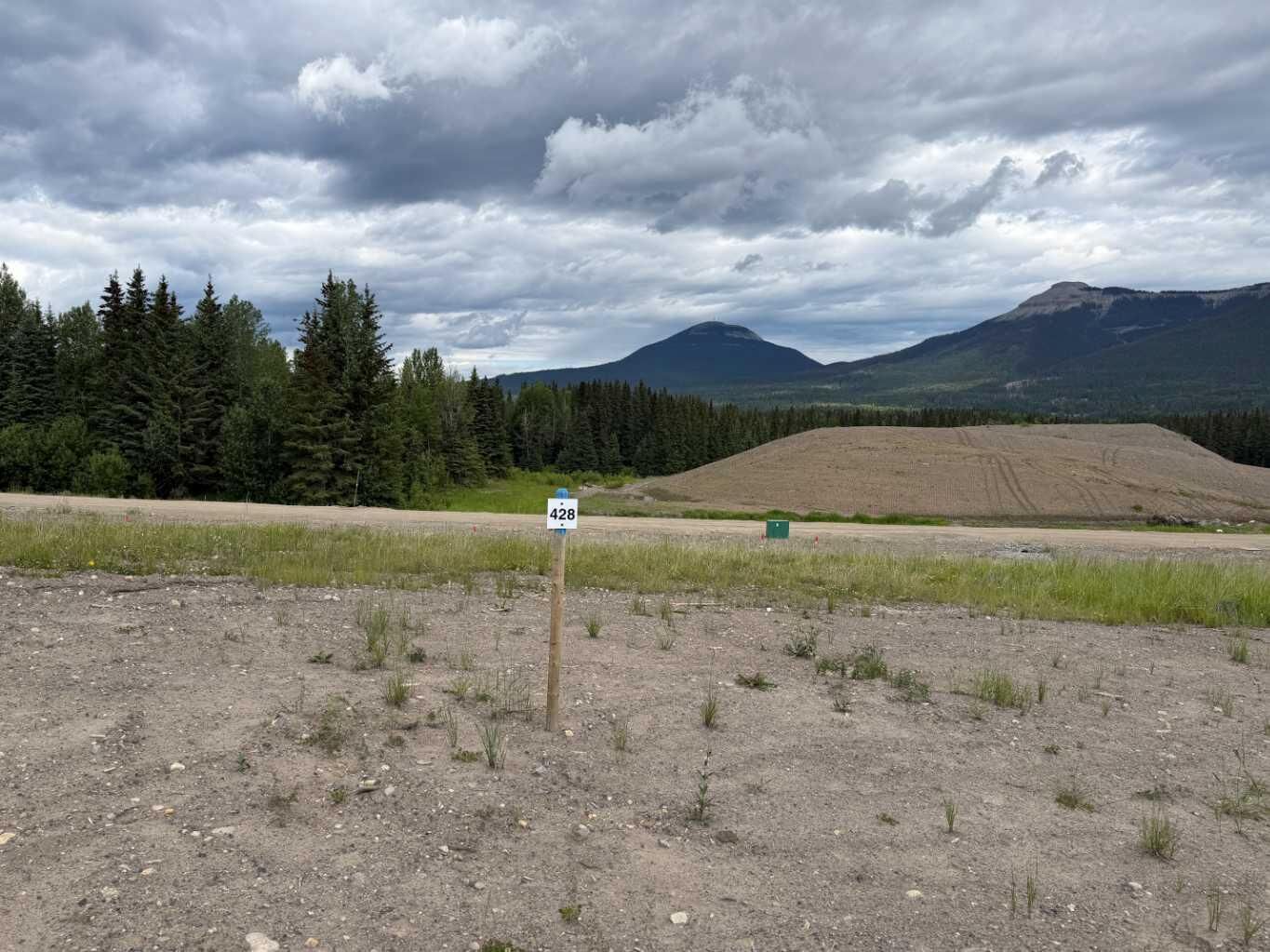 Property Photo: 428 Lily Avenue AB T0M 2H0