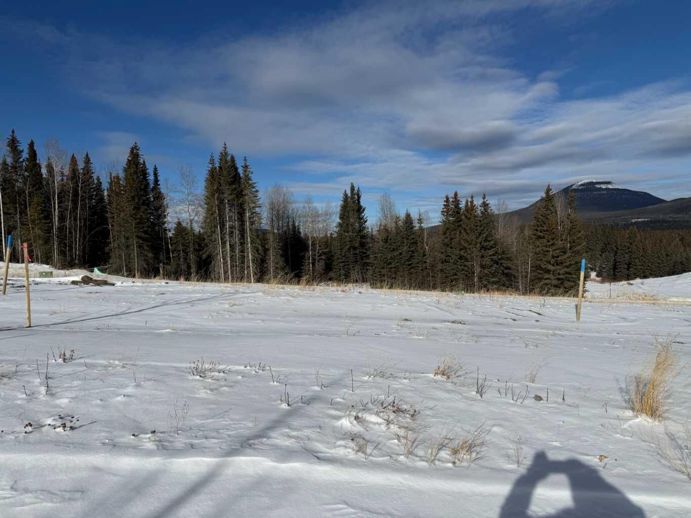 Property Photo: 436 Lily Avenue AB T0M 2H0