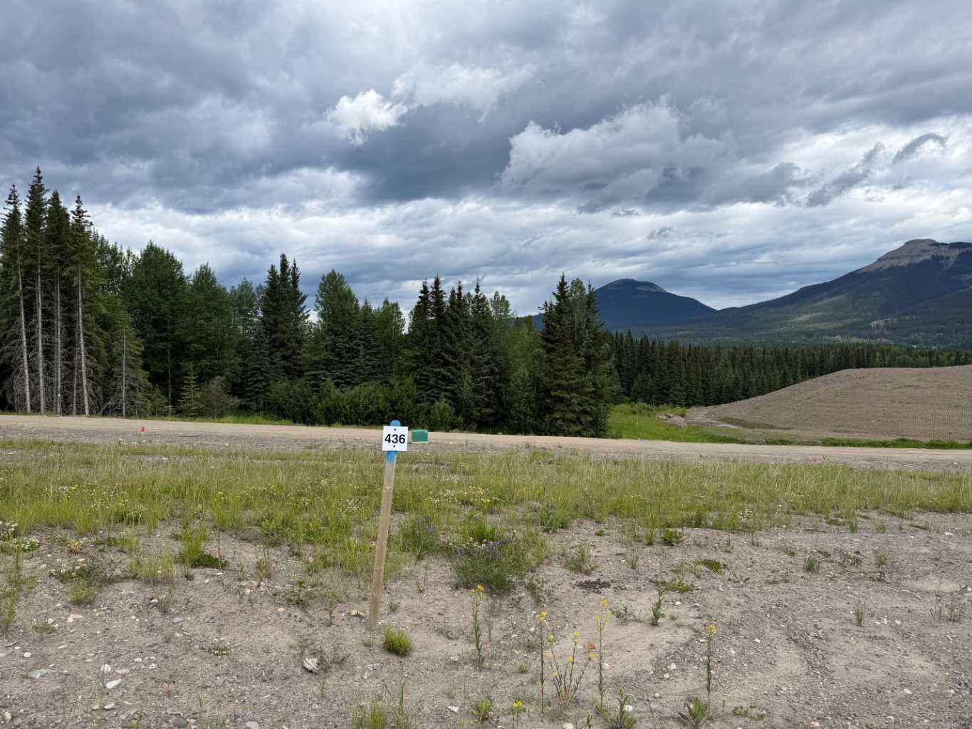 Property Photo: 436 Lily Avenue AB T0M 2H0