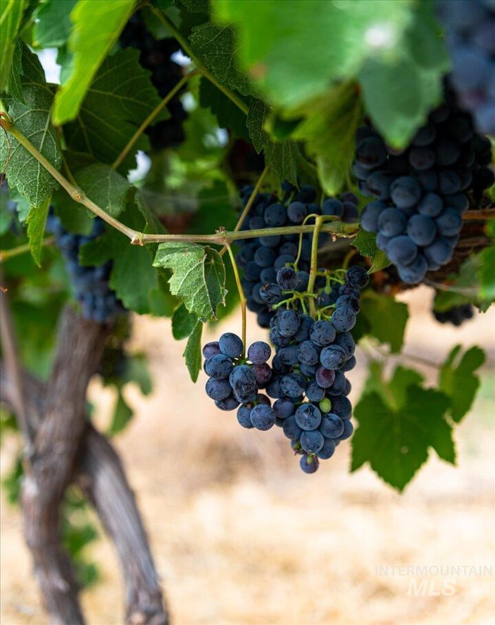 Property Photo: 24013 Arena Valley Rd ID 83660